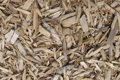 biomass boilers Lower Strode